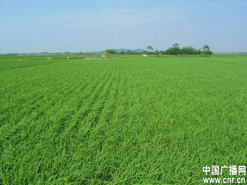 點(diǎn)擊瀏覽下一頁